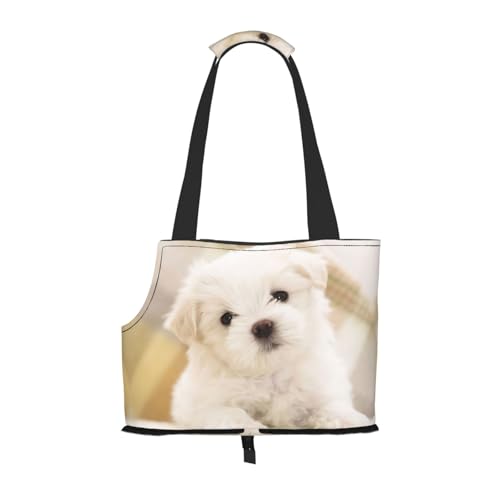 Tragetasche mit niedlichem Malteser-Welpen-Aufdruck, für kleine Hunde, Katzen und Kaninchen Tragetasche mit niedlichem Malteser-Welpen-Aufdruck, für kleine Hunde, Katzen und Kaninchen von JEJEA