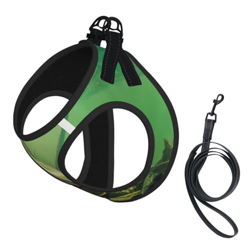 Unterwasser-Hundegeschirr und Leine, reflektierend, verstellbar, für kleine, mittelgroße und große Hunde, Katzen Unterwasser-Hundegeschirr und Leine, reflektierend, verstellbar, für kleine, mittelgroße und große Hunde, Katzen von JEJEA