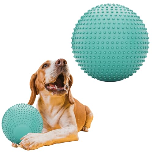JEROCK Hundebälle, EVA-Hundespielzeugball für aggressive Kauer, 12,7 cm, langlebig, hochelastisch, interaktiver Ball zum Trainieren von Hunden, Fangen und Apportieren, schwimmfähiges Spielzeug für JEROCK Hundebälle, EVA-Hundespielzeugball für aggressive Kauer, 12,7 cm, langlebig, hochelastisch, interaktiver Ball zum Trainieren von Hunden, Fangen und Apportieren, schwimmfähiges Spielzeug für von JEROCK