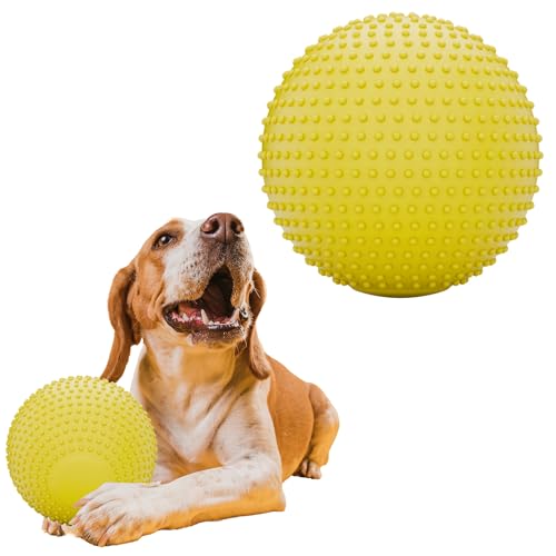 JEROCK Hundebälle, EVA-Hundespielzeugball für aggressive Kauer, 12,7 cm, langlebig, hohe Elastizität, interaktiver Ball zum Trainieren von Hunden, Fangen und Apportieren, schwimmfähiges Spielzeug für JEROCK Hundebälle, EVA-Hundespielzeugball für aggressive Kauer, 12,7 cm, langlebig, hohe Elastizität, interaktiver Ball zum Trainieren von Hunden, Fangen und Apportieren, schwimmfähiges Spielzeug für von JEROCK