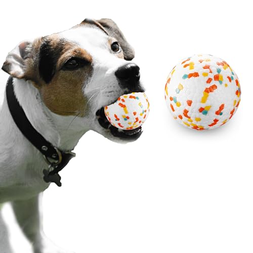 JEROCK Hundebälle, unzerstörbarer Hundespielzeugball für Aggressive Kauer, langlebig, hohe Elastizität, schwimmt im Wasser und sicher auf den Zähnen (6.4 cm, 1 Stück) von JEROCK