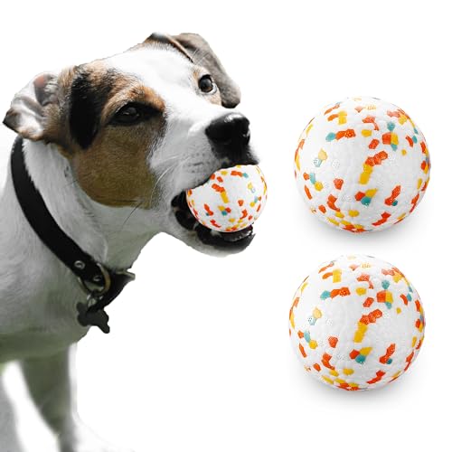 JEROCK Hundebälle, unzerstörbarer Hundespielzeugball für aggressive Kauer, langlebig, hohe Elastizität, schwimmt im Wasser und sicher auf den Zähnen (6.4 cm, 2 Stück) von JEROCK