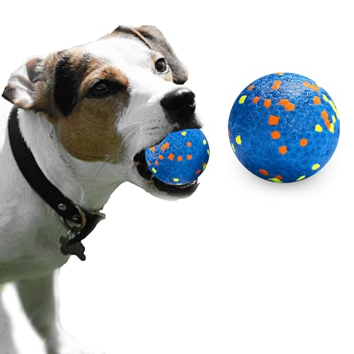 JEROCK Hundebälle, unzerstörbarer Hundespielzeugball für aggressive Kauer, langlebiger, hochelastischer interaktiver Ball zum Trainieren von Fangen und Apportieren, für große, mittelgroße und kleine JEROCK Hundebälle, unzerstörbarer Hundespielzeugball für aggressive Kauer, langlebiger, hochelastischer interaktiver Ball zum Trainieren von Fangen und Apportieren, für große, mittelgroße und kleine von JEROCK