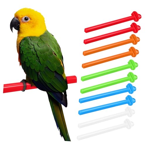 JEWEDECO 10 Stück Teiliges Vogelkäfig Sitzstangen Bunten Farben Krallen schleifstangen für Papageien Wellensittiche Nymphensittiche Einfache Anbringung Pflegt Vogelkralle Vogelzubehör JEWEDECO 10 Stück Teiliges Vogelkäfig Sitzstangen Bunten Farben Krallen schleifstangen für Papageien Wellensittiche Nymphensittiche Einfache Anbringung Pflegt Vogelkralle Vogelzubehör von JEWEDECO