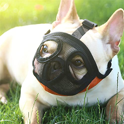 JEYANG Atmungsaktiver Hunde-Mundschutz aus Nylon-Mesh, Anti-Biss-Maulkörbe für Katzen, Haustier-Mundschutz, um Beißen und Schreien zu verhindern,Schwarz S JEYANG Atmungsaktiver Hunde-Mundschutz aus Nylon-Mesh, Anti-Biss-Maulkörbe für Katzen, Haustier-Mundschutz, um Beißen und Schreien zu verhindern,Schwarz S von JEYANG