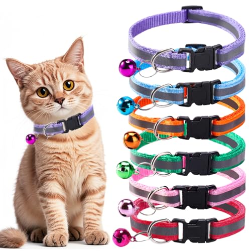 JEYORZY 6-Pack Personalisiertes Katzenhalsband, Katzenhalsbänder Quick Release Reflective Kitten Halsband mit Glocke, Katzenhalsband Anti-Strangulation, für Katzen oder Kätzchen JEYORZY 6-Pack Personalisiertes Katzenhalsband, Katzenhalsbänder Quick Release Reflective Kitten Halsband mit Glocke, Katzenhalsband Anti-Strangulation, für Katzen oder Kätzchen von JEYORZY