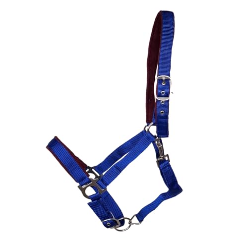 JF-Reitsport Gepolstertes Nylonhalfter, Verstellbar an Nase und Genick, mit Karabiner, Verschiedene Größen und Farben (Blau, Full) von JF-Reitsport