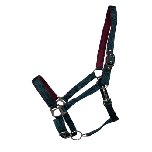 JF-Reitsport Gepolstertes Nylonhalfter, Verstellbar an Nase und Genick, mit Karabiner, Verschiedene Größen und Farben (Grün, Cob) von JF-Reitsport
