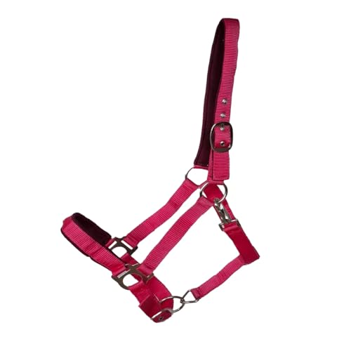 JF-Reitsport Gepolstertes Nylonhalfter, Verstellbar an Nase und Genick, mit Karabiner, Verschiedene Größen und Farben (Magenta, Cob) von JF-Reitsport