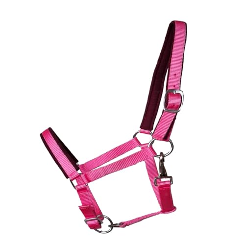 JF-Reitsport Gepolstertes Nylonhalfter, Verstellbar an Nase und Genick, mit Karabiner, Verschiedene Größen und Farben (Pink, Shetty) von JF-Reitsport