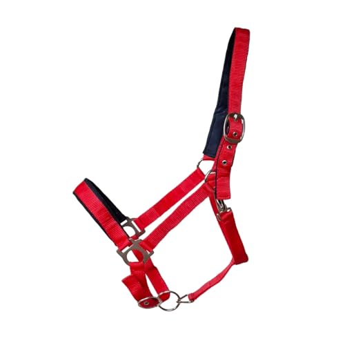 JF-Reitsport Gepolstertes Nylonhalfter, Verstellbar an Nase und Genick, mit Karabiner, Verschiedene Größen und Farben (Rot, Cob) von JF-Reitsport