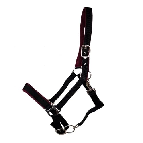 JF-Reitsport Gepolstertes Nylonhalfter, Verstellbar an Nase und Genick, mit Karabiner, Verschiedene Größen und Farben (Schwarz, Full) von JF-Reitsport