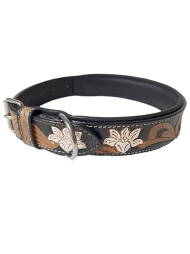 JF-Reitsport Leder Hundehalsband im Western-Design, Handgefertigt Trend Robust Breit (L 14-19 Inches) von JF-Reitsport