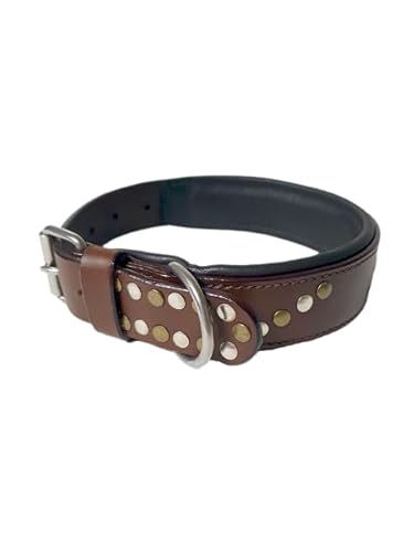 JF-Reitsport Leder Hundehalsband im Western-Design, Handgefertigt Trend Robust Breit (L 14-19 Inches) von JF-Reitsport