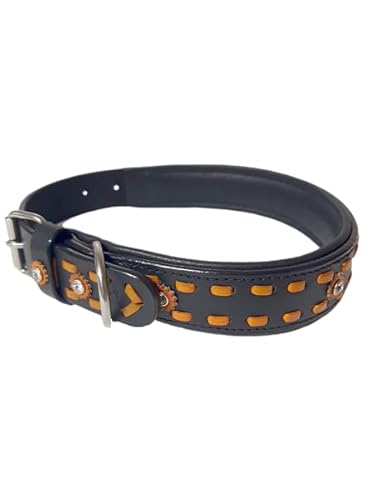JF-Reitsport Leder Hundehalsband im Western-Design, Handgefertigt Trend Robust Breit (M 13-17 Inches) von JF-Reitsport