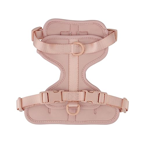 Atmungsaktives, Leichtes Hundegeschirr, Verstellbarer Brustgurt Für Haustiere, Outdoor-Walking-Training, Hundegeschirr, Wasserdichtes Hunde-Schwimmgeschirr,A,M Atmungsaktives, Leichtes Hundegeschirr, Verstellbarer Brustgurt Für Haustiere, Outdoor-Walking-Training, Hundegeschirr, Wasserdichtes Hunde-Schwimmgeschirr,A,M von JFERDX