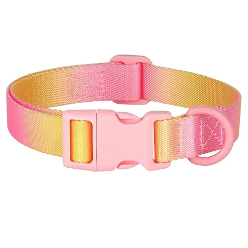 Atmungsaktives Nylon-Hundehalsband, verstellbar, für Katzen und Hunde, Farbverlauf, modisches Hundehalsband, Zubehör, geeignet für Mops, Chihuahua, Französische Bulldogge, B, M Atmungsaktives Nylon-Hundehalsband, verstellbar, für Katzen und Hunde, Farbverlauf, modisches Hundehalsband, Zubehör, geeignet für Mops, Chihuahua, Französische Bulldogge, B, M von JFERDX