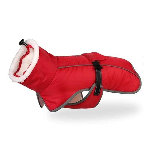 Herbst Und Winter, Verdickte Warme Hundejacke, Kleidung Für Große Hunde, Labrador, Französische Bulldogge, Deutscher Schäferhund, Warme Fleecejacke, Winddichte Outdoor-Hundejacke,C,M Herbst Und Winter, Verdickte Warme Hundejacke, Kleidung Für Große Hunde, Labrador, Französische Bulldogge, Deutscher Schäferhund, Warme Fleecejacke, Winddichte Outdoor-Hundejacke,C,M von JFERDX