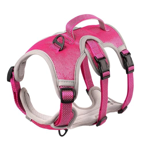 Hundetraining Jagdkabelbaumweste Mit Kontrollgriff Im Freien Reflektierende Atmungsaktive Netz Nylon Hundekabelbaum Für Kleine Und Mittlere Hunde,Rose,M Hundetraining Jagdkabelbaumweste Mit Kontrollgriff Im Freien Reflektierende Atmungsaktive Netz Nylon Hundekabelbaum Für Kleine Und Mittlere Hunde,Rose,M von JFERDX