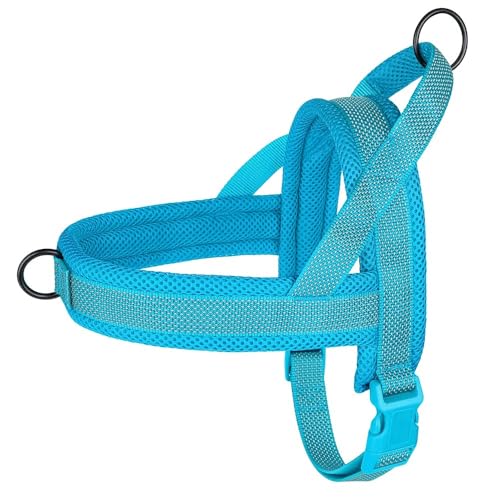 Kein Atmungsaktives Mesh Nylon Hundekabelbaum Hundegurt Weste Im Freien Reflektierende Schnelle Kontroll -Hundekabelbaum Für Labrador French Bulldogs,Blau,S Kein Atmungsaktives Mesh Nylon Hundekabelbaum Hundegurt Weste Im Freien Reflektierende Schnelle Kontroll -Hundekabelbaum Für Labrador French Bulldogs,Blau,S von JFERDX