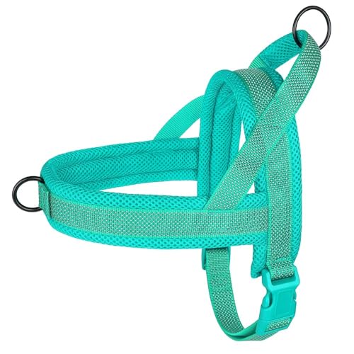Kein Atmungsaktives Mesh Nylon Hundekabelbaum Hundegurt Weste Im Freien Reflektierende Schnelle Kontroll -Hundekabelbaum Für Labrador French Bulldogs,Grün,M Kein Atmungsaktives Mesh Nylon Hundekabelbaum Hundegurt Weste Im Freien Reflektierende Schnelle Kontroll -Hundekabelbaum Für Labrador French Bulldogs,Grün,M von JFERDX