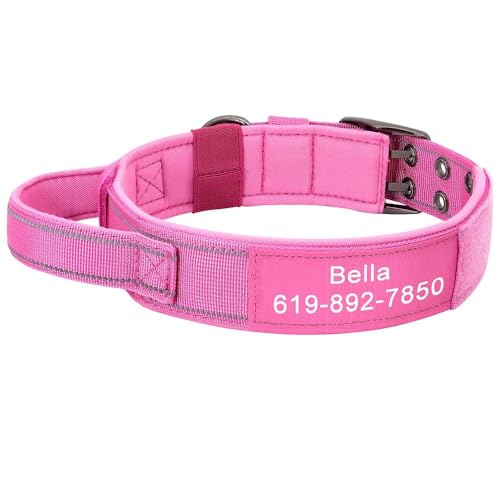 Militär-Hundehalsband, personalisierbar, militärisch, taktisch, Nylon, verstellbar, mittelgroße und große Hunde, Deutscher Schäferhund, Labrador, Französische Bulldogge, A, M Militär-Hundehalsband, personalisierbar, militärisch, taktisch, Nylon, verstellbar, mittelgroße und große Hunde, Deutscher Schäferhund, Labrador, Französische Bulldogge, A, M von JFERDX