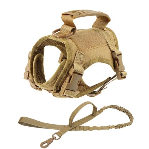 Militärisches Taktisches Set Aus Nylongeschirr Und Leine Für Kleine Hunde, Katzen, Welpen, Outdoor-Hundetraining, Camping, Jagdgeschirr, Verstellbarer Haustierwestengurt, Weicher Webgurt, Kontrol Militärisches Taktisches Set Aus Nylongeschirr Und Leine Für Kleine Hunde, Katzen, Welpen, Outdoor-Hundetraining, Camping, Jagdgeschirr, Verstellbarer Haustierwestengurt, Weicher Webgurt, Kontrol von JFERDX