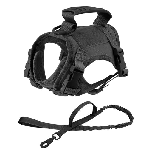 Militärisches Taktisches Set Aus Nylongeschirr Und Leine Für Kleine Hunde, Katzen, Welpen, Outdoor-Hundetraining, Camping, Jagdgeschirr, Verstellbarer Haustierwestengurt, Weicher Webgurt, Kontrol Militärisches Taktisches Set Aus Nylongeschirr Und Leine Für Kleine Hunde, Katzen, Welpen, Outdoor-Hundetraining, Camping, Jagdgeschirr, Verstellbarer Haustierwestengurt, Weicher Webgurt, Kontrol von JFERDX