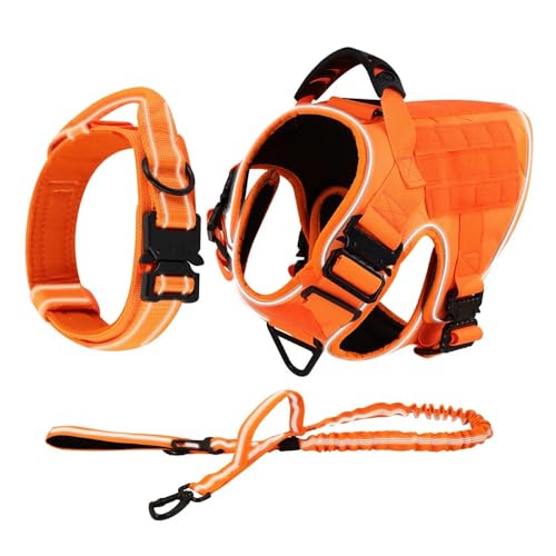 Militärtaktische Taktik Nylon Hundekabelbaumkragen Und Leine Mit Kontrolle Griff Im Freien Reflexion Großer Hundetraining Camping -Jagdgurte,Orange,L von JFERDX