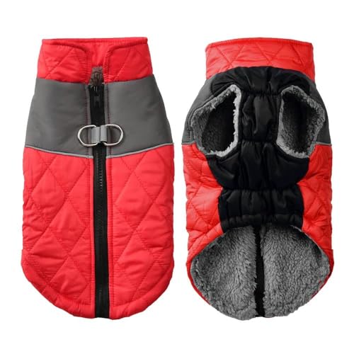 Mit D-Ring Chihuahua Mops Französische Bulldogge Jacke Winter Warme Welpenjacke Outdoor Winddicht Reflektierende Haustierkleidung Warme Fleece Welpenkleidung Mantel Jacke Westen,Rot,XL Mit D-Ring Chihuahua Mops Französische Bulldogge Jacke Winter Warme Welpenjacke Outdoor Winddicht Reflektierende Haustierkleidung Warme Fleece Welpenkleidung Mantel Jacke Westen,Rot,XL von JFERDX