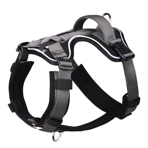 Mit Kontrollgriff, Nylon-Hundegeschirr, Kein Ziehen, Hundegeschirr, Outdoor, Reflektierendes Haustiergeschirr, Weste, Hundespaziergang, Camping, Trainingsgeschirr Für Kleine Und Mittelgroße Hunde Mit Kontrollgriff, Nylon-Hundegeschirr, Kein Ziehen, Hundegeschirr, Outdoor, Reflektierendes Haustiergeschirr, Weste, Hundespaziergang, Camping, Trainingsgeschirr Für Kleine Und Mittelgroße Hunde von JFERDX