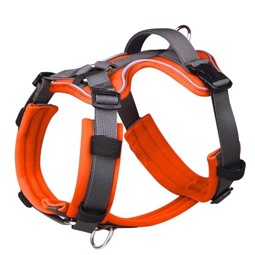 Mit Kontrollgriff EIN Verstellbares Hundekabelbaum Kein Reflektierender Hundetraining Im Freien Für Kleine, Mittlere Und Große Hunde,Orange,M Mit Kontrollgriff EIN Verstellbares Hundekabelbaum Kein Reflektierender Hundetraining Im Freien Für Kleine, Mittlere Und Große Hunde,Orange,M von JFERDX