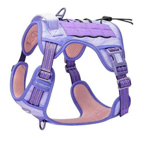 Mit Kontrollgriff Outdoor Reflective No Pull Nylon Hundekabelt,Lila,S von JFERDX