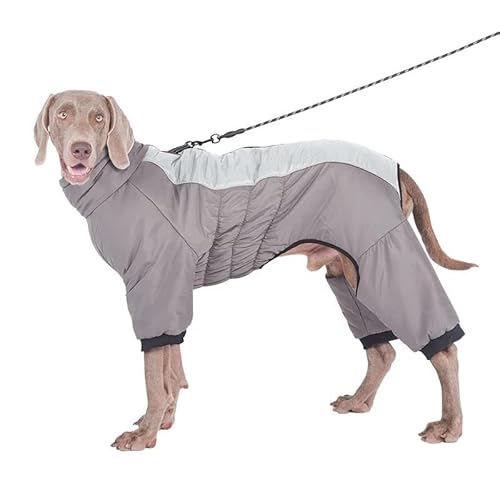 Outdoor-Jacke Für Haustiere, Wasserdicht, Winddicht, Für Den Winter, Warm, Einteiler, Labrador, Französische Bulldogge, Deutscher Schäferhund, Jacke, Kleidung, Weich, Bequem, Leicht, Hundemantel, Outdoor-Jacke Für Haustiere, Wasserdicht, Winddicht, Für Den Winter, Warm, Einteiler, Labrador, Französische Bulldogge, Deutscher Schäferhund, Jacke, Kleidung, Weich, Bequem, Leicht, Hundemantel, von JFERDX