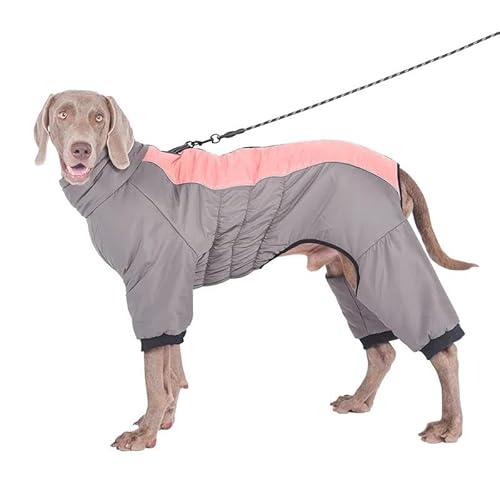 Outdoor-Jacke Für Haustiere, Wasserdicht, Winddicht, Für Den Winter, Warm, Einteiler, Labrador, Französische Bulldogge, Deutscher Schäferhund, Jacke, Kleidung, Weich, Bequem, Leicht, Hundemantel, Outdoor-Jacke Für Haustiere, Wasserdicht, Winddicht, Für Den Winter, Warm, Einteiler, Labrador, Französische Bulldogge, Deutscher Schäferhund, Jacke, Kleidung, Weich, Bequem, Leicht, Hundemantel, von JFERDX