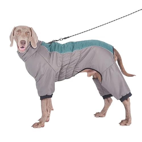 Outdoor-Jacke Für Haustiere, Wasserdicht, Winddicht, Für Den Winter, Warm, Einteiler, Labrador, Französische Bulldogge, Deutscher Schäferhund, Jacke, Kleidung, Weich, Bequem, Leicht, Hundemantel, Outdoor-Jacke Für Haustiere, Wasserdicht, Winddicht, Für Den Winter, Warm, Einteiler, Labrador, Französische Bulldogge, Deutscher Schäferhund, Jacke, Kleidung, Weich, Bequem, Leicht, Hundemantel, von JFERDX