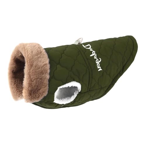 Outdoor Winddichte Haustierjacke Winter Verdickte Warme Wolle Hundejacke Mantel Leichte Weiche Haustiermantelweste Für Kleine Und Mittelgroße Hunde Chihuahua Möpse,Grün,M Outdoor Winddichte Haustierjacke Winter Verdickte Warme Wolle Hundejacke Mantel Leichte Weiche Haustiermantelweste Für Kleine Und Mittelgroße Hunde Chihuahua Möpse,Grün,M von JFERDX