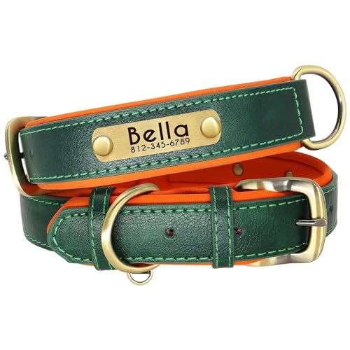 Personalisiertes Haustier-ID-Halsband, Halskette, personalisierbar, graviert, PU-Leder, verstellbar, gepolstert, für Hunde, Name, Telefonnummer, Haustierbedarf, Zubehör, Grün, XL Personalisiertes Haustier-ID-Halsband, Halskette, personalisierbar, graviert, PU-Leder, verstellbar, gepolstert, für Hunde, Name, Telefonnummer, Haustierbedarf, Zubehör, Grün, XL von JFERDX
