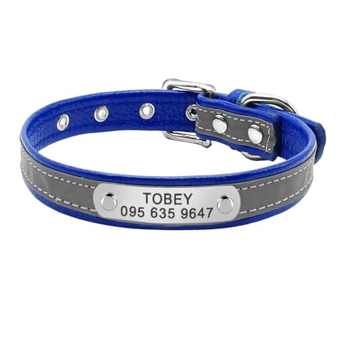 Personalisiertes Katzenhalsband, PU-Leder, reflektierend, für den Außenbereich, für Chihuahua, Mops, Französische Bulldogge, Labrador, Blau, Größe S Personalisiertes Katzenhalsband, PU-Leder, reflektierend, für den Außenbereich, für Chihuahua, Mops, Französische Bulldogge, Labrador, Blau, Größe S von JFERDX