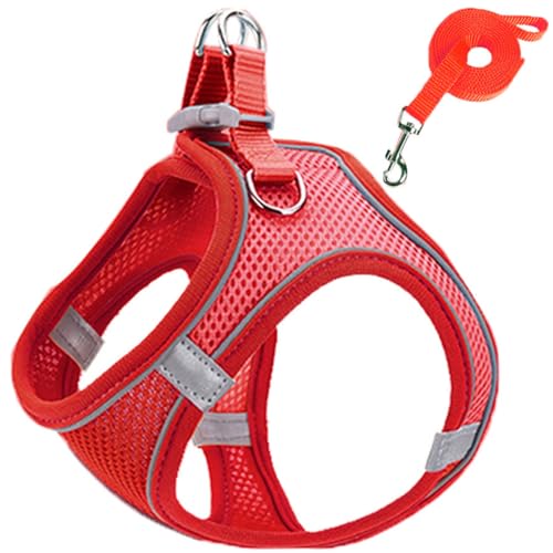 Reflektierendes, Atmungsaktives Hundegeschirr Für Den Außenbereich, Robustes Nylon-Hundegeschirr Und Leine-Set, Verstellbar, Bequem, Welpengeschirr, Outdoor-Reisetraining, Hundegeschirr,Rot, Reflektierendes, Atmungsaktives Hundegeschirr Für Den Außenbereich, Robustes Nylon-Hundegeschirr Und Leine-Set, Verstellbar, Bequem, Welpengeschirr, Outdoor-Reisetraining, Hundegeschirr,Rot, von JFERDX