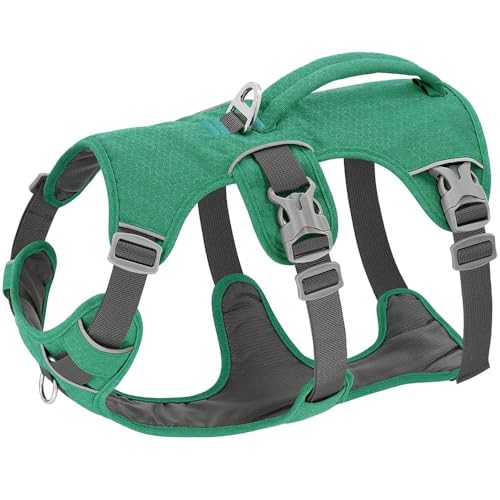 Reflektierendes Hundegeschirr Für Den Außenbereich, Verstellbare Nylon-Haustierweste Mit Griff, Hundegeschirr, Weiches Und Bequemes Hunde- Und Katzen-GEH-Trainingsgeschirr Für Kleine Und Mittelgr Reflektierendes Hundegeschirr Für Den Außenbereich, Verstellbare Nylon-Haustierweste Mit Griff, Hundegeschirr, Weiches Und Bequemes Hunde- Und Katzen-GEH-Trainingsgeschirr Für Kleine Und Mittelgr von JFERDX