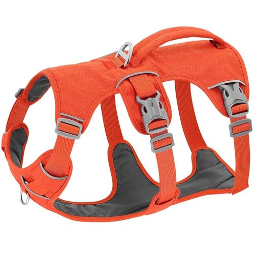 Reflektierendes Hundegeschirr Für Den Außenbereich, Verstellbare Nylon-Haustierweste Mit Griff, Hundegeschirr, Weiches Und Bequemes Hunde- Und Katzen-GEH-Trainingsgeschirr Für Kleine Und Mittelgr Reflektierendes Hundegeschirr Für Den Außenbereich, Verstellbare Nylon-Haustierweste Mit Griff, Hundegeschirr, Weiches Und Bequemes Hunde- Und Katzen-GEH-Trainingsgeschirr Für Kleine Und Mittelgr von JFERDX