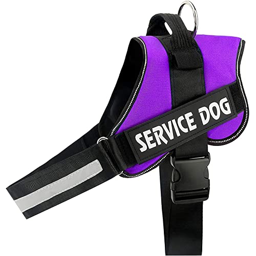 Reflektierendes Hundegeschirr Für Den Außenbereich, Verstellbares Hundegeschirr, Kein Ziehen, Haustiergeschirr, Weste, Strapazierfähiges Nylon-Hundegeschirr, Chihuahua-Mops-Labrador-Geschirr Reflektierendes Hundegeschirr Für Den Außenbereich, Verstellbares Hundegeschirr, Kein Ziehen, Haustiergeschirr, Weste, Strapazierfähiges Nylon-Hundegeschirr, Chihuahua-Mops-Labrador-Geschirr von JFERDX