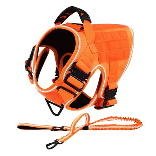 Reflexionsgurt Im Freien 4 Metallschnallen Großer Hundegier Und Leinen -Set Military Tactical Nylon Hundetraining Camping Jagdgurt,Orange,L von JFERDX