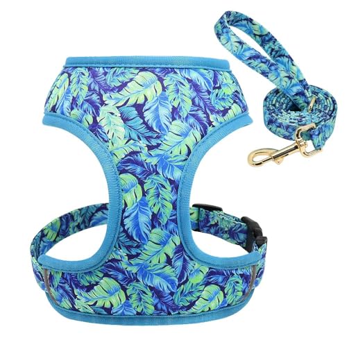 Verstellbare Atmungsaktive Nylon -Hundekabelbaum Und Leinen -Setsoft Und Bequeme Gedruckte Hundekabelbaumweste Für Mittelgroße Und Große Hunde,Blau,M Verstellbare Atmungsaktive Nylon -Hundekabelbaum Und Leinen -Setsoft Und Bequeme Gedruckte Hundekabelbaumweste Für Mittelgroße Und Große Hunde,Blau,M von JFERDX