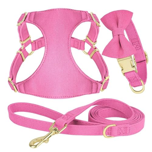 Verstellbare Haustiergeschirr-Weste Mit Schleife, Weiches Und Bequemes Hundehalsband, Geschirr, Leine-Set, Katzen- Und Hunde-Trainingsgeschirr Für Kleine Und Mittelgroße Chihuahua, Mops, Französi Verstellbare Haustiergeschirr-Weste Mit Schleife, Weiches Und Bequemes Hundehalsband, Geschirr, Leine-Set, Katzen- Und Hunde-Trainingsgeschirr Für Kleine Und Mittelgroße Chihuahua, Mops, Französi von JFERDX