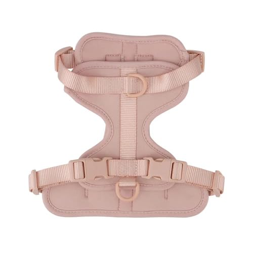 Verstellbares Hundegeschirr, Atmungsaktiv, Leicht, Hundegeschirr, Outdoor, Gehtraining, Camping, Haustiergeschirr, Outdoor, Wasserdichtes Hundegeschirr Für Kleine Und Mittelgroße Hunde,A,XL Verstellbares Hundegeschirr, Atmungsaktiv, Leicht, Hundegeschirr, Outdoor, Gehtraining, Camping, Haustiergeschirr, Outdoor, Wasserdichtes Hundegeschirr Für Kleine Und Mittelgroße Hunde,A,XL von JFERDX