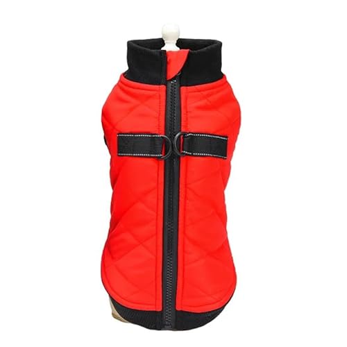 Warme Hundejacke Für Herbst Und Winter, Mit Zugschlaufe Und Reißverschluss Auf Der Rückseite, Hundejacke, Kleidung, Mops, Chihuahua, Pudel, Teddy, Französische Bulldogge, Jackenkleidung,B,L Warme Hundejacke Für Herbst Und Winter, Mit Zugschlaufe Und Reißverschluss Auf Der Rückseite, Hundejacke, Kleidung, Mops, Chihuahua, Pudel, Teddy, Französische Bulldogge, Jackenkleidung,B,L von JFERDX