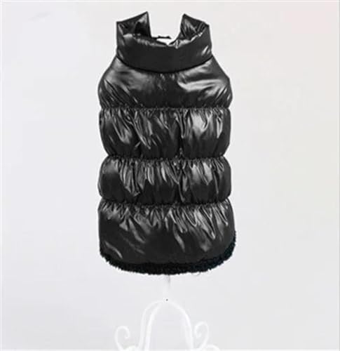 Warme Hundejacke Für Herbst Und Winter, Verdickte Warme Haustiermanteljacke, Wind- Und wasserdichte Hundejacke Für Den Außenbereich, Chihuahua, Mops, Französische Bulldogge, Weste, Kleidung, Warme Hundejacke Für Herbst Und Winter, Verdickte Warme Haustiermanteljacke, Wind- Und wasserdichte Hundejacke Für Den Außenbereich, Chihuahua, Mops, Französische Bulldogge, Weste, Kleidung, von JFERDX