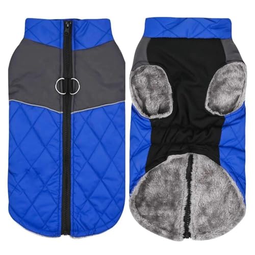 Warme Winterjacke Für Haustiere, Oberbekleidung, Kleidung Für Den Außenbereich, Wasserdicht, Winddicht, Hundeweste, Jacke Für Mittelgroße Und Große Hunde, Skibekleidung, Jacke, Kleidung, Chi Warme Winterjacke Für Haustiere, Oberbekleidung, Kleidung Für Den Außenbereich, Wasserdicht, Winddicht, Hundeweste, Jacke Für Mittelgroße Und Große Hunde, Skibekleidung, Jacke, Kleidung, Chi von JFERDX